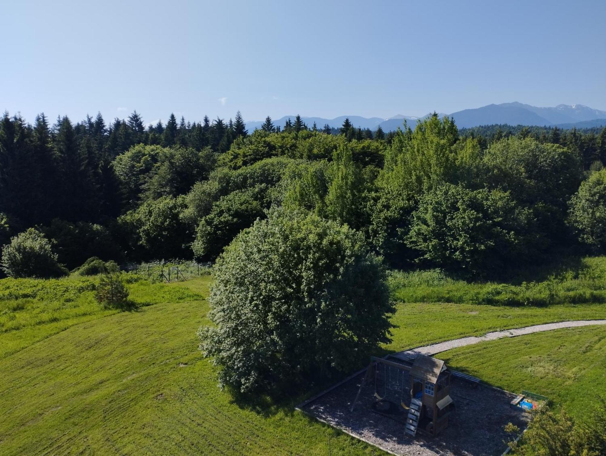 Chamkoria Chalets Borovets Ngoại thất bức ảnh
