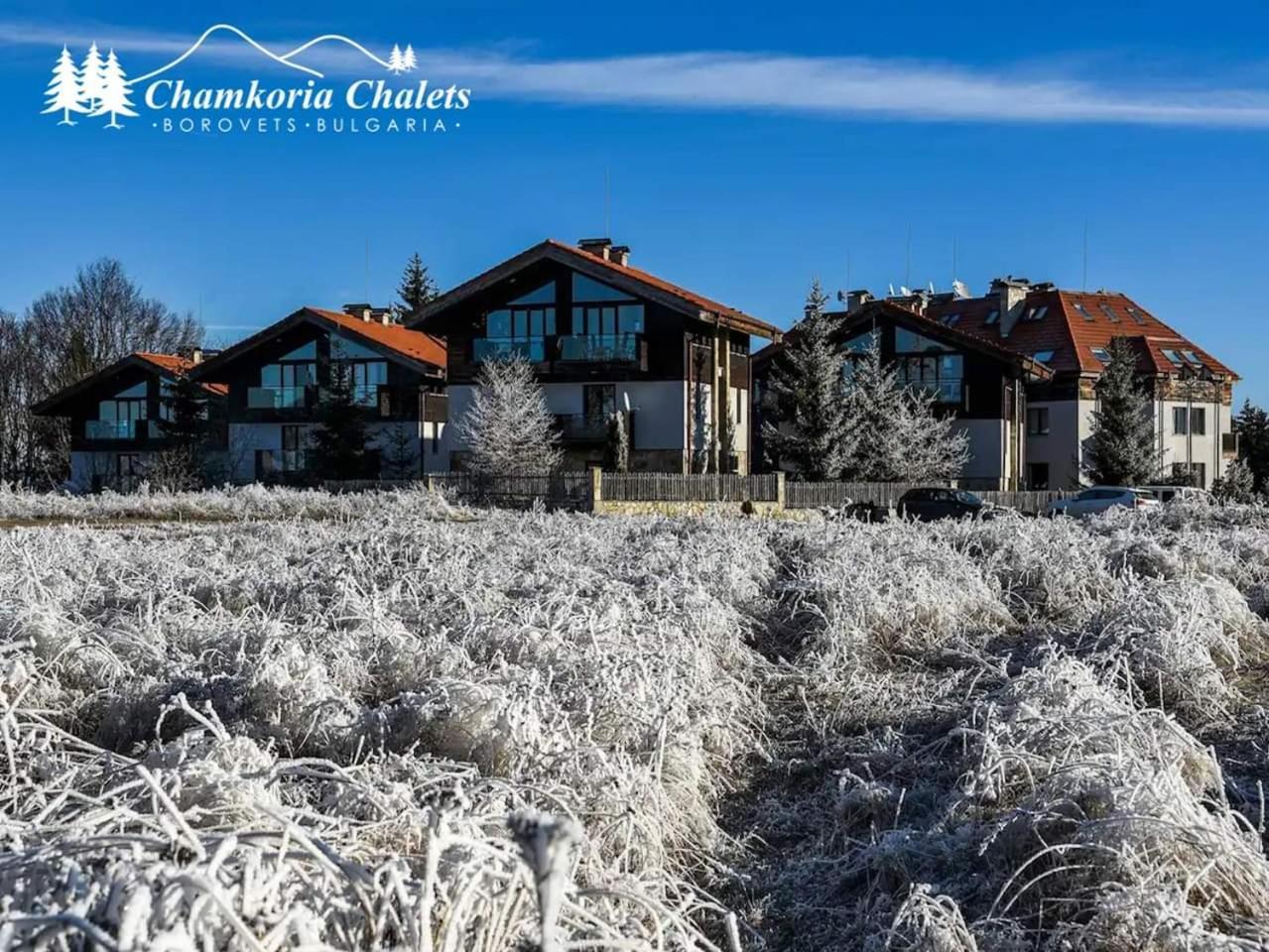 Chamkoria Chalets Borovets Ngoại thất bức ảnh